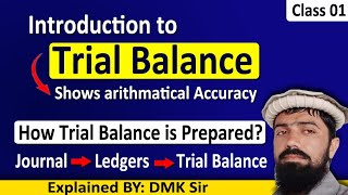 Part 1  Introduction to Trial Balance  Dcom  Bcom  DBA  Mcom  BBA and BS Accounting [upl. by Market482]