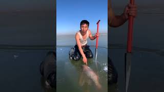 Freezing fish shorts short trending viralshorts respect sad facts tamil viral doglover [upl. by Jeana414]