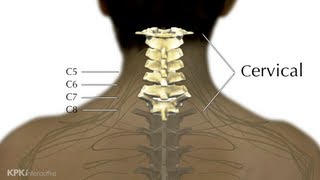 5B Levels of Injury Explained  Low Cervical  Spinal Cord Injury 101 [upl. by Diskin747]