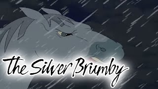 The Silver Brumby 119  Charlie Helps a Friend HD  Full Episode [upl. by Woods651]