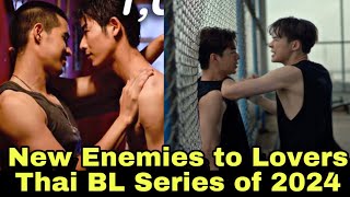 Top 5 Enemy to Lovers Thai BL Series of 2024  Thai BL Series  bi series [upl. by Jacobah]