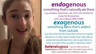 Endogenous vs Exogenous  terminology techniques and biochemistry experimental considerations [upl. by Boak]