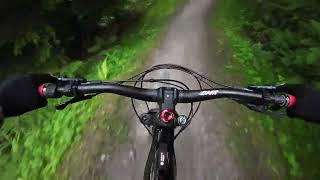 Hamsterley forest first time on the giant reign e 2 poor footage [upl. by Biddick]