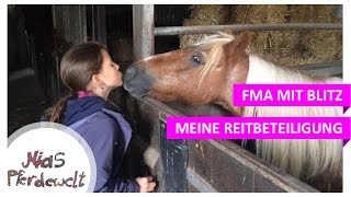 Meine erste Reitbeteiligung FMA mit Blitz [upl. by Nivrag]