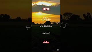 fullqurantranslation urdupoetry transletionquran inspirationalquotes horselover ترجمہ quotes [upl. by Arrais]