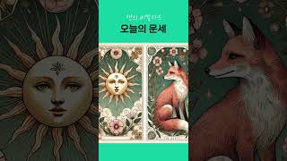 앤의 비밀카드 오늘의 운세 오늘운세 [upl. by Lahcym]