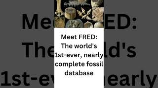 Meet FRED The worlds 1stever nearly complete fossil database [upl. by Essenaj825]