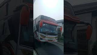 Pesona Bus Pantura Rebog basuri telolet teloletbasuri busmania [upl. by Suirauqed]