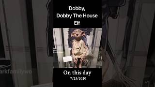 Dobby The House Elf shorts Harry Potters Favourite Elf at Warner Bros Studio Tour Hollywood [upl. by Topliffe]