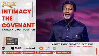 Intimacy the Covenant Pathway to Multiplication Apostle Goodheart Ekwueme [upl. by Ennairb]