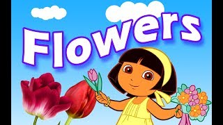 Flowers Name for kids  Flowers Name Video [upl. by Avlis]