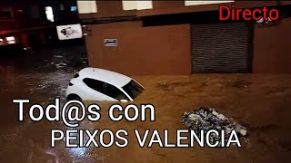 AYUDEMOS A PEIXOS VALENCIA  DANA VALENCIA 2024 [upl. by Eidas272]