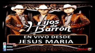 30 Cartas Con Tololoche  Los Hijos Del Barron En Vivo Jesus Maria 2013 [upl. by Ryle854]