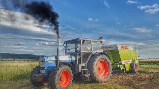 EICHER Traktoren bei der HEUERNTE 2016  Ballen pressen mit Claas Quadrant 1200RC [upl. by Tyrus560]