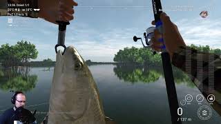 Fishing Planet Everglades duże ryby D [upl. by Yrrek]