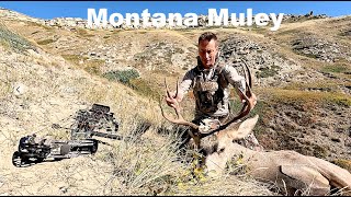 Montana Mule Deer Hunting 2024 [upl. by Feingold27]