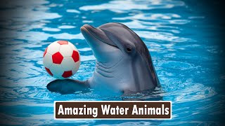 Amazing Water Animals for Kids  Learn Fun Facts About Water Animals  Animal Names amp Sounds [upl. by Birdella729]