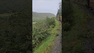 Palmerston climbing high above the Rheidol valley shortsvideo valeofrheidolrailway [upl. by Ahsikyt]