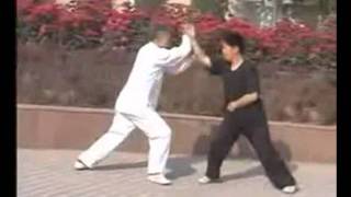 Xing yi  An Shen Pao  形意拳  安身炮 [upl. by Merrily]