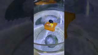 Place the Lego boat into the vortex  vortex whirlpool eddy ​swallow fun relaxed [upl. by Nihsfa]