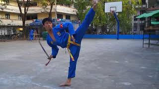 VoViNam Sword Form [upl. by Werby]