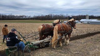 Plowing With the Horses [upl. by Katzen]