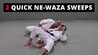 2 Basic NeWaza sweeps [upl. by Mccully]