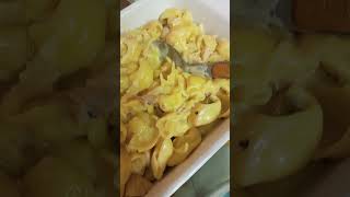 Creamy cheesy pasta  food pasta recipe yummy deliciousfood [upl. by Aihsekal]