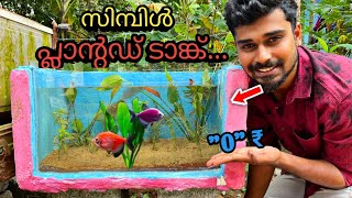 കുറഞ്ഞ ചിലവിൽ ഒരടിപൊളി പ്ലാന്റഡ് ടാങ്ക്😍🥰❤️ aquarium planting in malayalam  planted tank making [upl. by Ferd974]