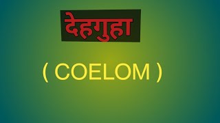 Coelom  देहगुहा Bodycavity [upl. by Anne-Marie]