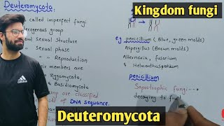 Deuteromycota fungi Life Cycle  Characteristics  Class 11 Biology [upl. by Niveg]