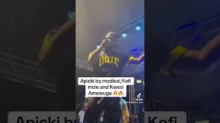 New released from medikal titled Apicki that featured kwesi Amewuga and Kofi mole foryou youtube [upl. by Landa]