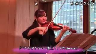 OST Ninpuu Sentai Hurricanger Violin Cover [upl. by Hehre223]