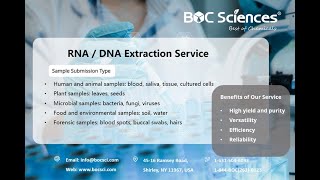 DNA Extraction Explained  DNA Isolation  DNA Extraction Steps  RNA Extraction  BOC Sciences [upl. by Jefferey115]