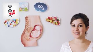 ScienceTube Femme enceinte et santé de lenfant [upl. by Adelia]