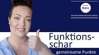 Funktionsschar  Gemeinsame Punkte aller Funktionen bestimmen by einfach mathe [upl. by Ku653]