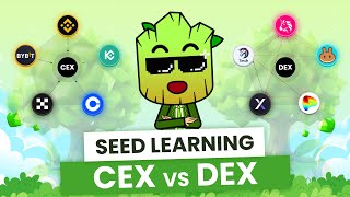 CEX vs DEX How to Choose the Best Exchange for your Crypto  SEED Learning 8 [upl. by Acinelav]