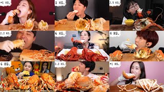 Mukbang Korean eating Crayfish 🦞 16 KG 👑 Giant Crayfish ASMR Compilation ‼️ All ✨ [upl. by Paris]