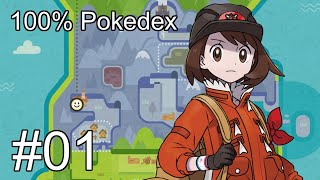 Pokemon Shield Crown Tundra 100 Pokedex Walkthrough  Part 01 A Dynamax Adventour [upl. by Irama]