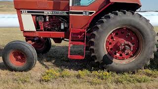 IH International 886 on the PRO grain bagger [upl. by Enrika]