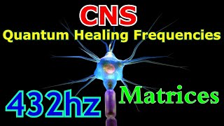 Central nervous system 2  Matrixes of Peter Petrovich Garyaev  Quantum Healing Frequencies  CNS [upl. by Townshend567]