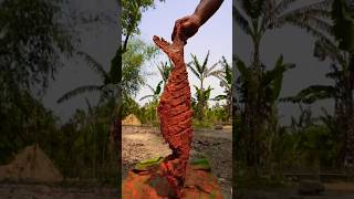 pangas fish recipe fish food [upl. by Tnilk]