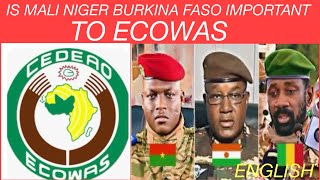 ECOWASAES  WOW ANOTHER SHOCKING TURN news africa reaction [upl. by Ellivnarg]