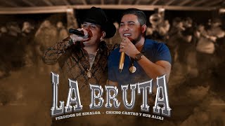 Perdidos de Sinaloa  La Bruta ft Chicho Castro En Vivo [upl. by Assin620]