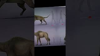 Hyaenodon Vs Syrian camel  1v1 vs mammals 4k 60fps [upl. by Avner]