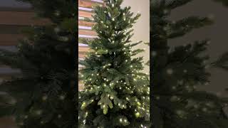 Raz 75 or 9 O Tannenbaum Aspen Fir Real Feel Christmas Tree with Brilliant LED Lights [upl. by Alaj]