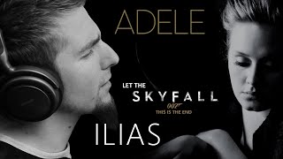 Adele  Skyfall Official Skyfall movie theme  Cover by Eldameldo [upl. by Dorion727]