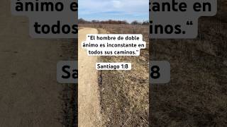 ”El hombre de doble ánimo es inconstante en todos sus caminos” palabradedios sabiduría biblia ‭ [upl. by Acirem]