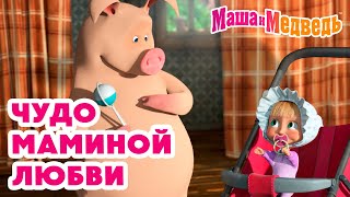 Маша и Медведь 🤱 Чудо маминой любви 🥰 💝 Коллекция любимых серий про Машу 🎬 Час мультиков [upl. by Suinuj]