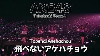 AKB48  Tobenai Agehachou Takahashi Team A [upl. by Livia209]